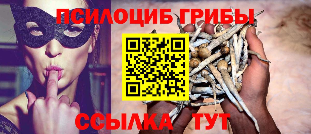 Псилоцибиновые грибы прущие грибы Полысаево