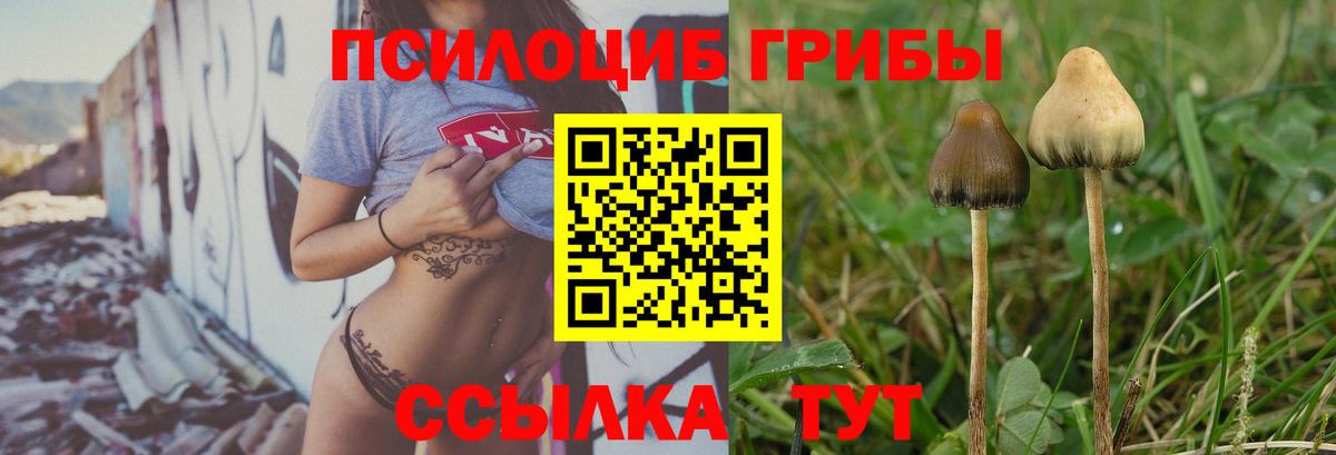 купить наркотик  Галлюциногенные грибы ЛСД  Вход с VPN  Полысаево 